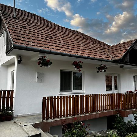 Balazs Vendeghaz Aparthotel Lupeni  Exterior foto