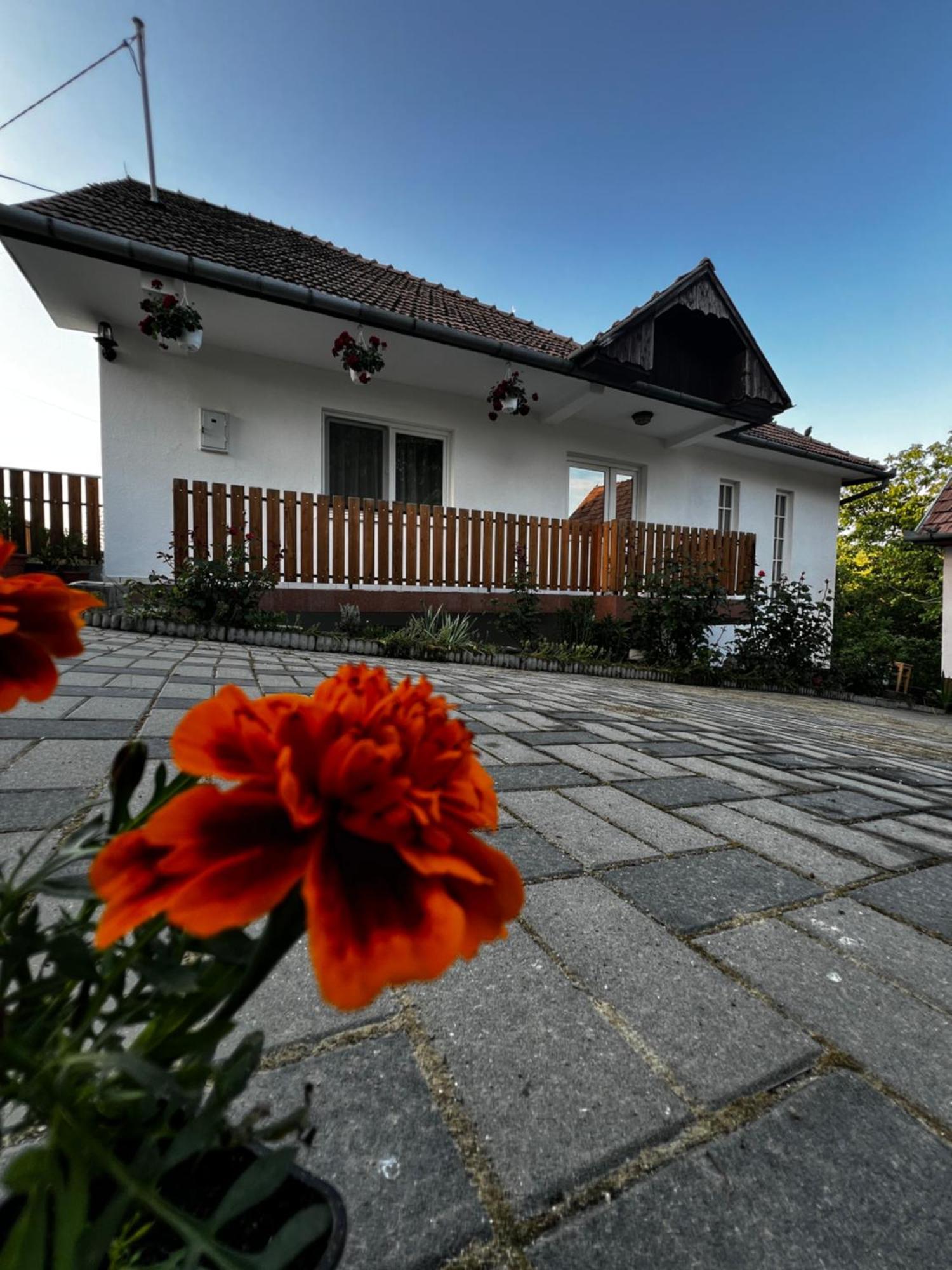 Balazs Vendeghaz Aparthotel Lupeni  Exterior foto